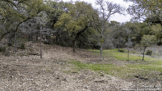 2209 Deer Run, New Braunfels, Texas image 8