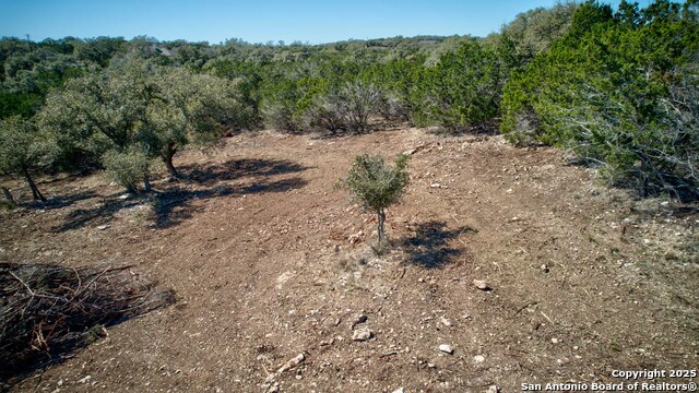 100 Sweet Clover Dr, Spring Branch, Texas image 11