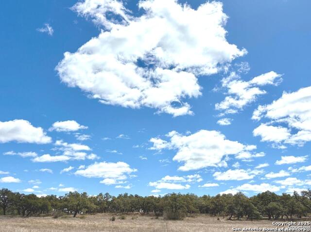 34739 Shelly Bridge Pt, Bulverde, Texas image 6
