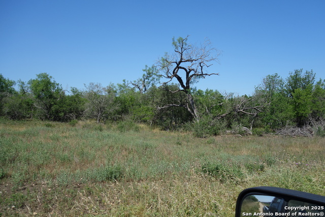 2344 1343, Castroville, Texas image 5
