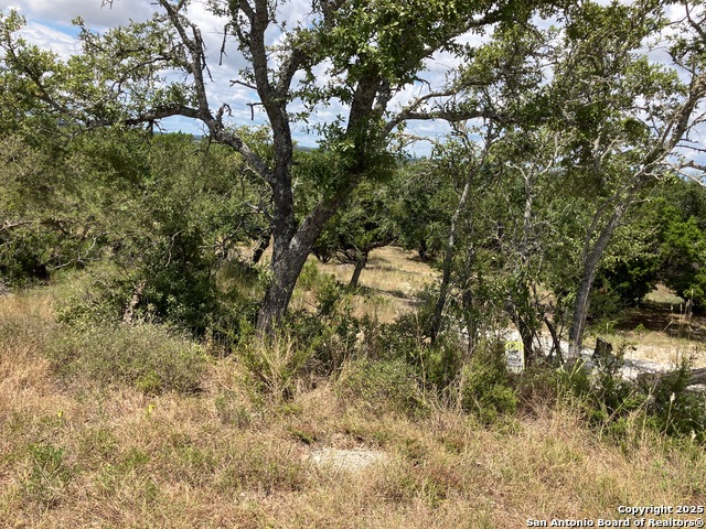 1296 Linda Dr, Canyon Lake, Texas image 2