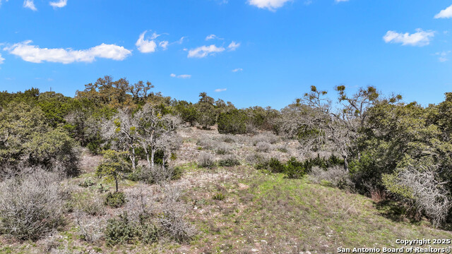 198 Lily St., Spring Branch, Texas image 21
