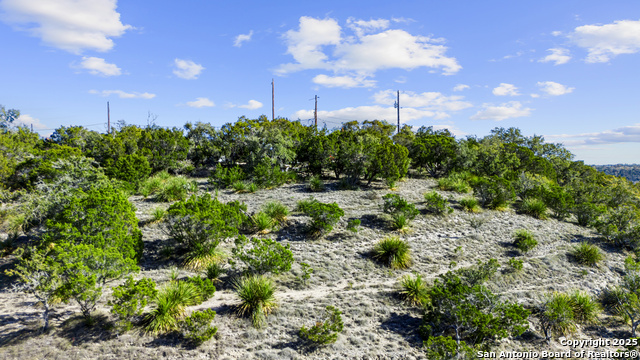 817 Lexington Pass, Canyon Lake, Texas image 6