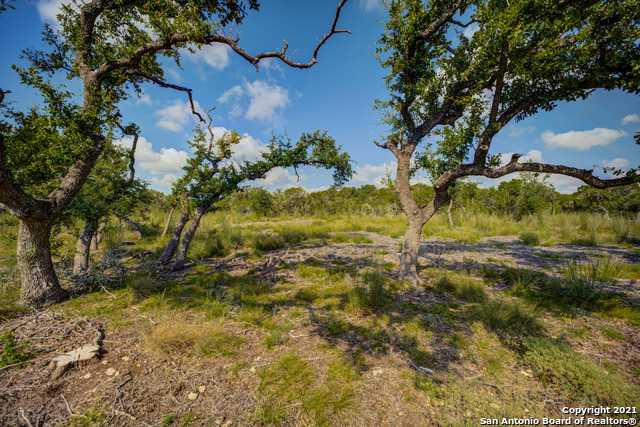 1232 Adyson Ridge, Bulverde, Texas image 3