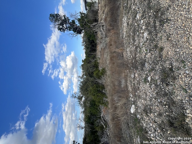 1420 Stahlman, New Braunfels, Texas image 5