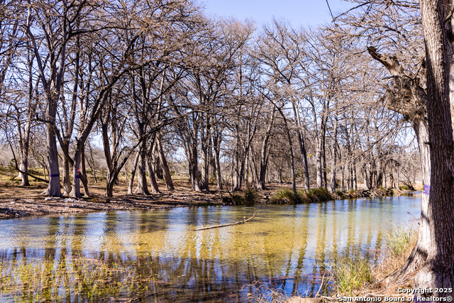 2800 Little Dry Frio Road, Rio Frio, Texas image 25