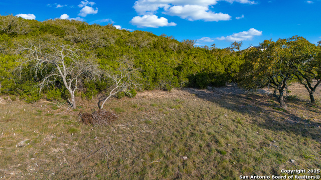 23603 Basse Canyon, San Antonio, Texas image 13