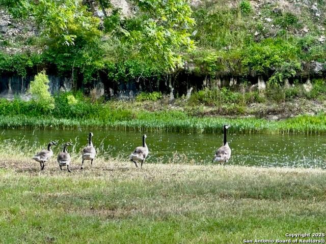 LOT 123 Fallow Drive, Harper, Texas image 19