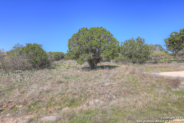 331 Suncrest, New Braunfels, Texas image 1