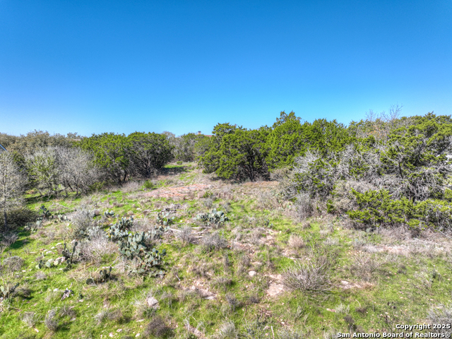 331 Suncrest, New Braunfels, Texas image 7
