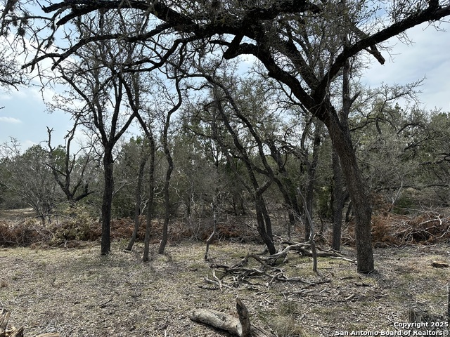 1752 N Saddle Mountain Rd, Rio Frio, Texas image 7