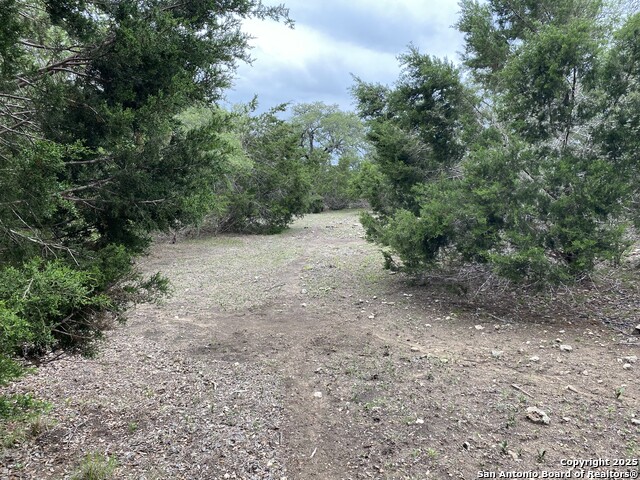 42 Rust Lane, Boerne, Texas image 11