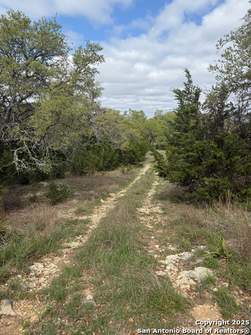 32311 Koch Dr, Bulverde, Texas image 2
