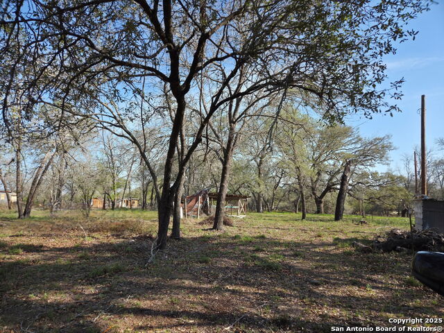 TBD County Road 6815, Natalia, Texas image 12