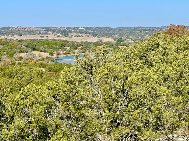 LOT 85 Great Sky Ranch, Kerrville, Texas image 2