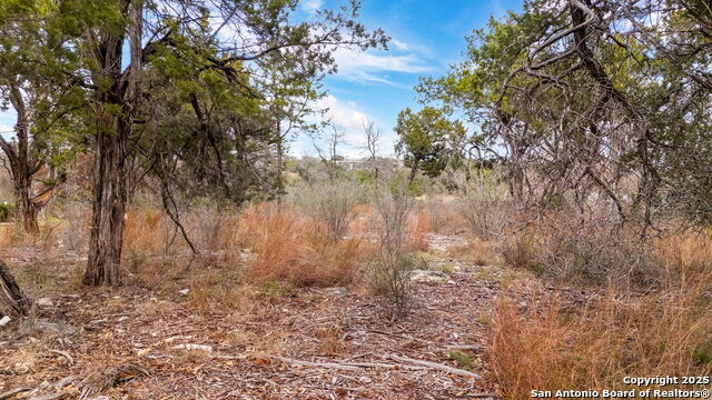 LOT 11 Landmark Rdg, Boerne, Texas image 9