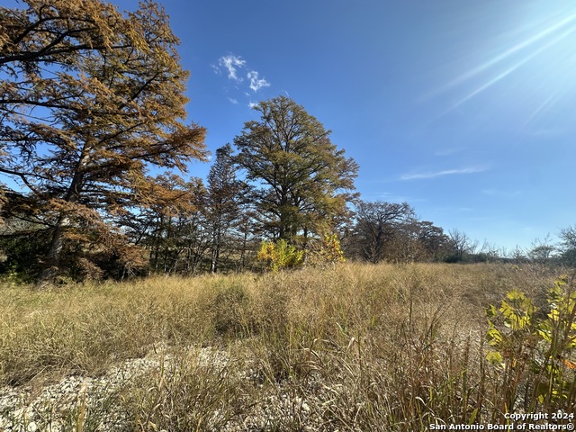 15902 N Highway 16, Medina, Texas image 10