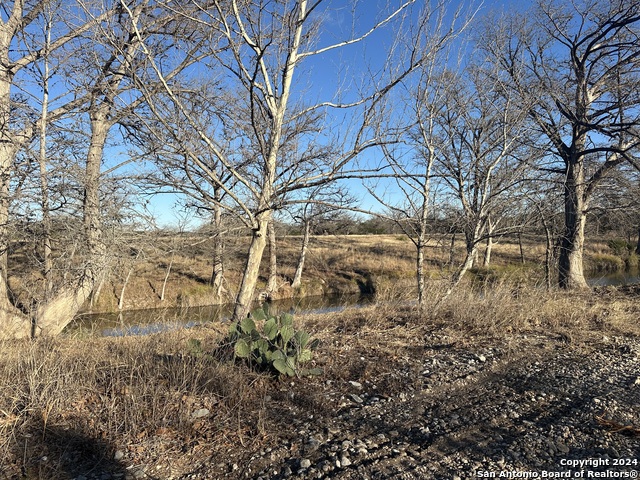15902 N Highway 16, Medina, Texas image 19