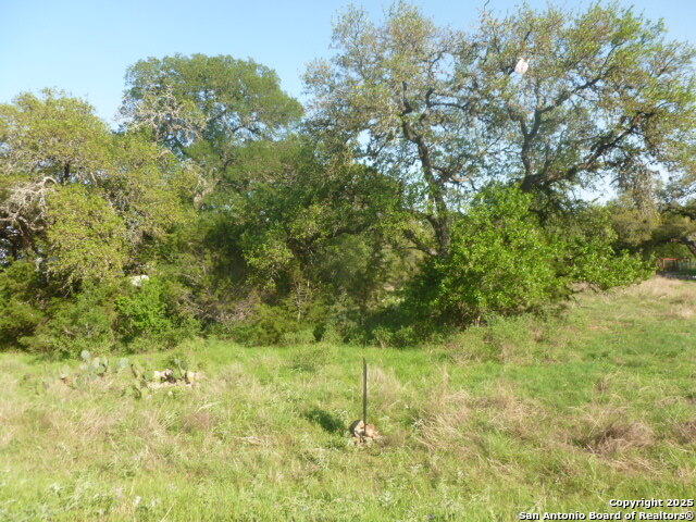 1038 Bridlewood, New Braunfels, Texas image 2