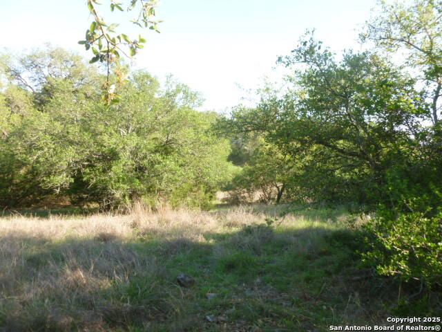 1038 Bridlewood, New Braunfels, Texas image 20