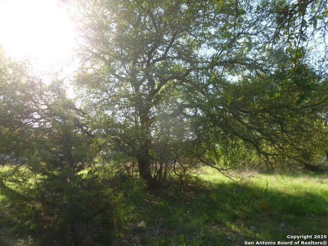1038 Bridlewood, New Braunfels, Texas image 22