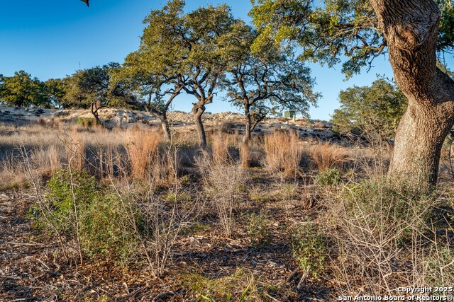 LOT 37 BLOCK 25 Tres Arroyos, San Antonio, Texas image 5