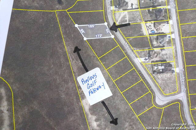 133 Merion Lane, La Vernia, Texas image 4