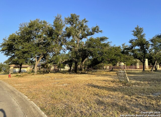 2507 George Pass, Canyon Lake, Texas image 10