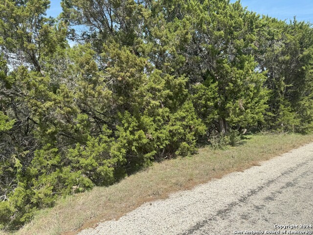 397 Cedar Dr, Canyon Lake, Texas image 1