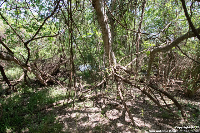LOT:48 Guadalupe River Dr, Seguin, Texas image 4