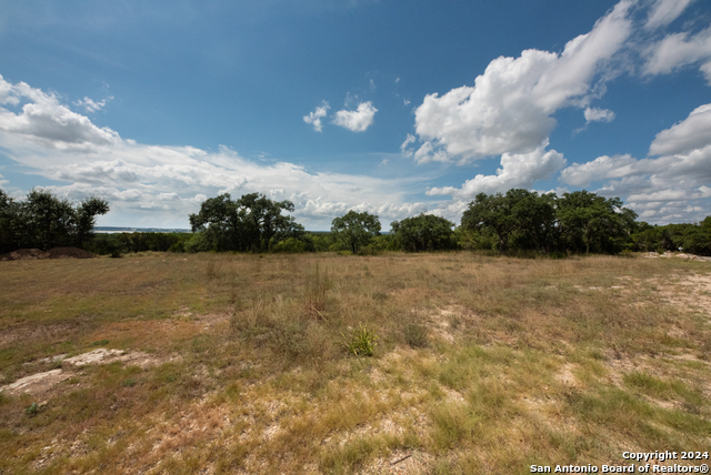 1308 Sunny Side Dr, Canyon Lake, Texas image 4