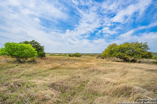 104 Fig Leaf Ct., Fredericksburg, Texas image 16