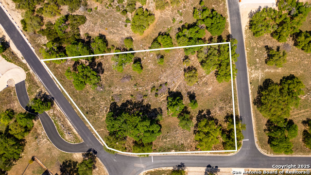 Tbd Lot 133, Canyon Lake, Texas image 1