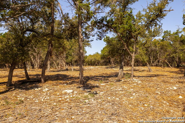 1360 Mountain Breeze, Canyon Lake, Texas image 18