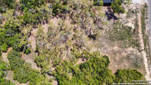 109 Jesse Stiff, Blanco, Texas image 11