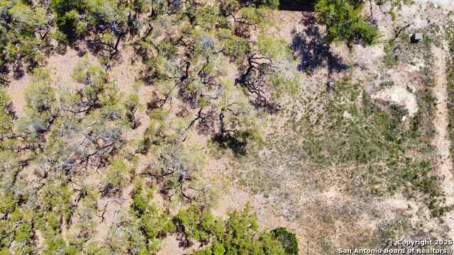 109 Jesse Stiff, Blanco, Texas image 13