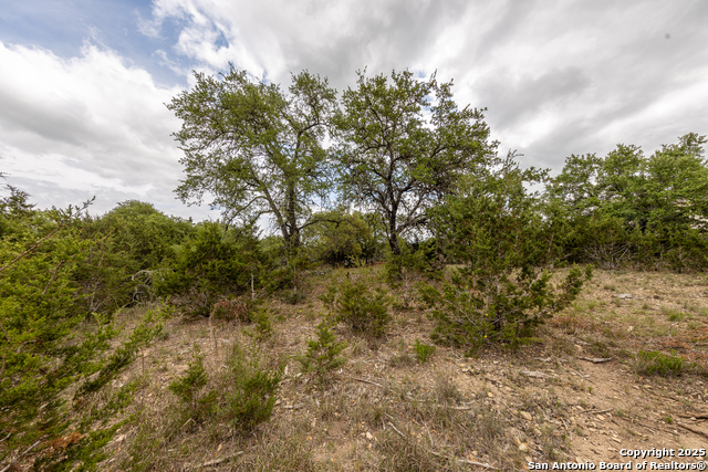 162 Scarlet, Canyon Lake, Texas image 14
