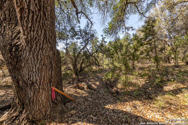 162 Scarlet, Canyon Lake, Texas image 9