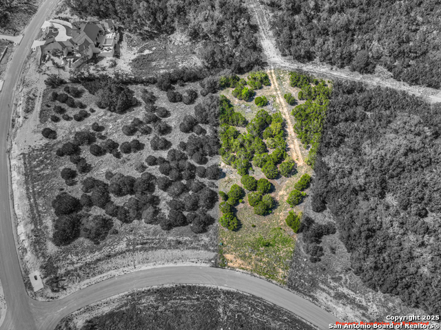 386 Cloudveil, New Braunfels, Texas image 6