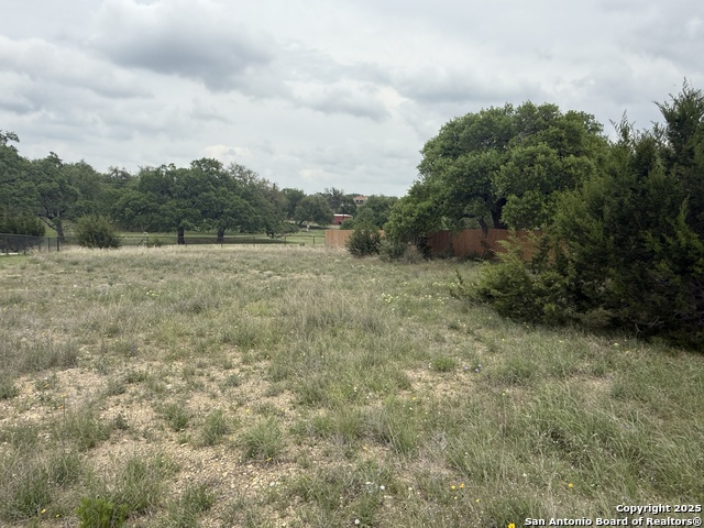 122 Pat Dolan, Blanco, Texas image 10