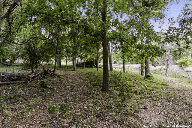 3222 Fm 1117, Seguin, Texas image 24