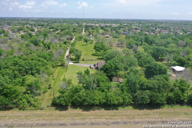 TBD Daffodil, Highlands, Texas image 9