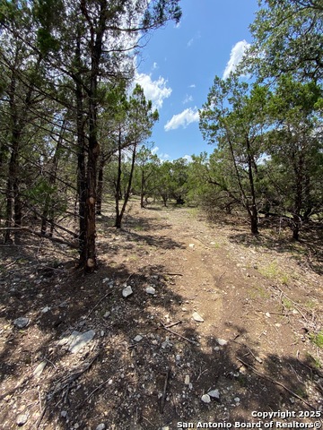 000 Solo View, San Antonio, Texas image 16