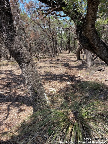 000 Solo View, San Antonio, Texas image 9