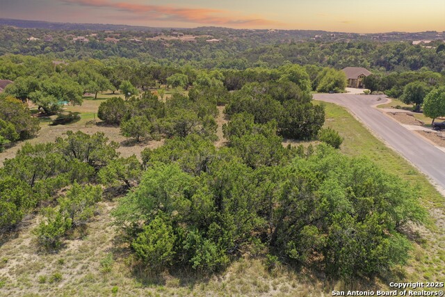 TBD Comal Springs, Canyon Lake, Texas image 14