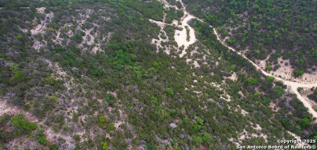 LOT 155 White Bluff Rd, Medina, Texas image 11