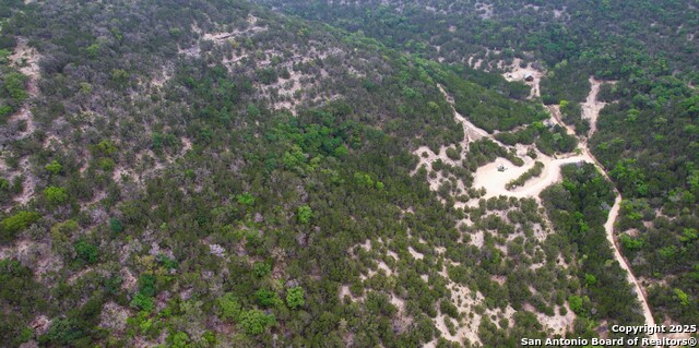 LOT 155 White Bluff Rd, Medina, Texas image 12