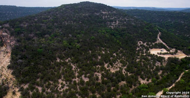 LOT 155 White Bluff Rd, Medina, Texas image 16