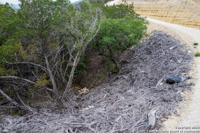 LOT 155 White Bluff Rd, Medina, Texas image 18