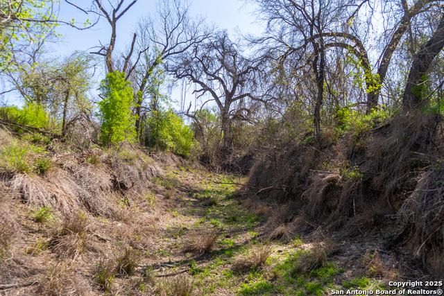000 Fm 1581, Dilley, Texas image 25